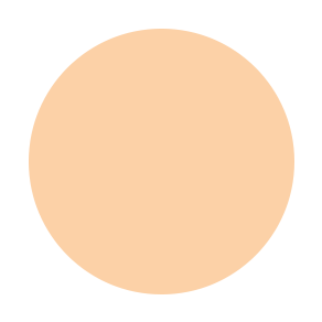 Eye and Lip Primer