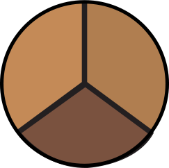 3 Well Concealer Palette