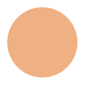 Liquid Concealer